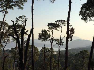 Residential Land For Sale in Valle De Bravo, Mexico