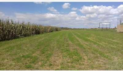 Residential Land For Sale in San Gregorio Atzompa, Mexico