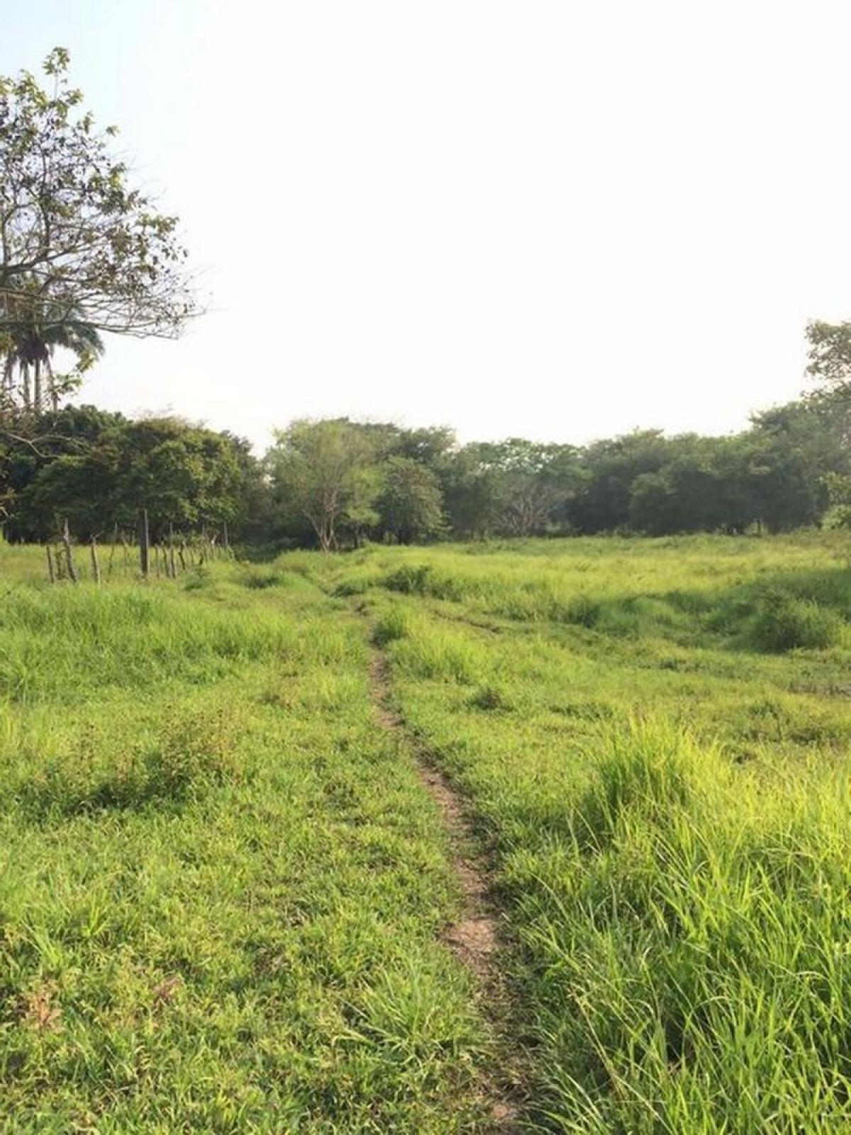 Picture of Development Site For Sale in Tabasco, Tabasco, Mexico