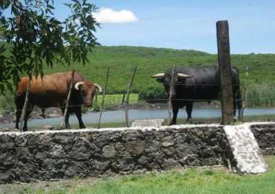 Development Site For Sale in Guanajuato, Mexico