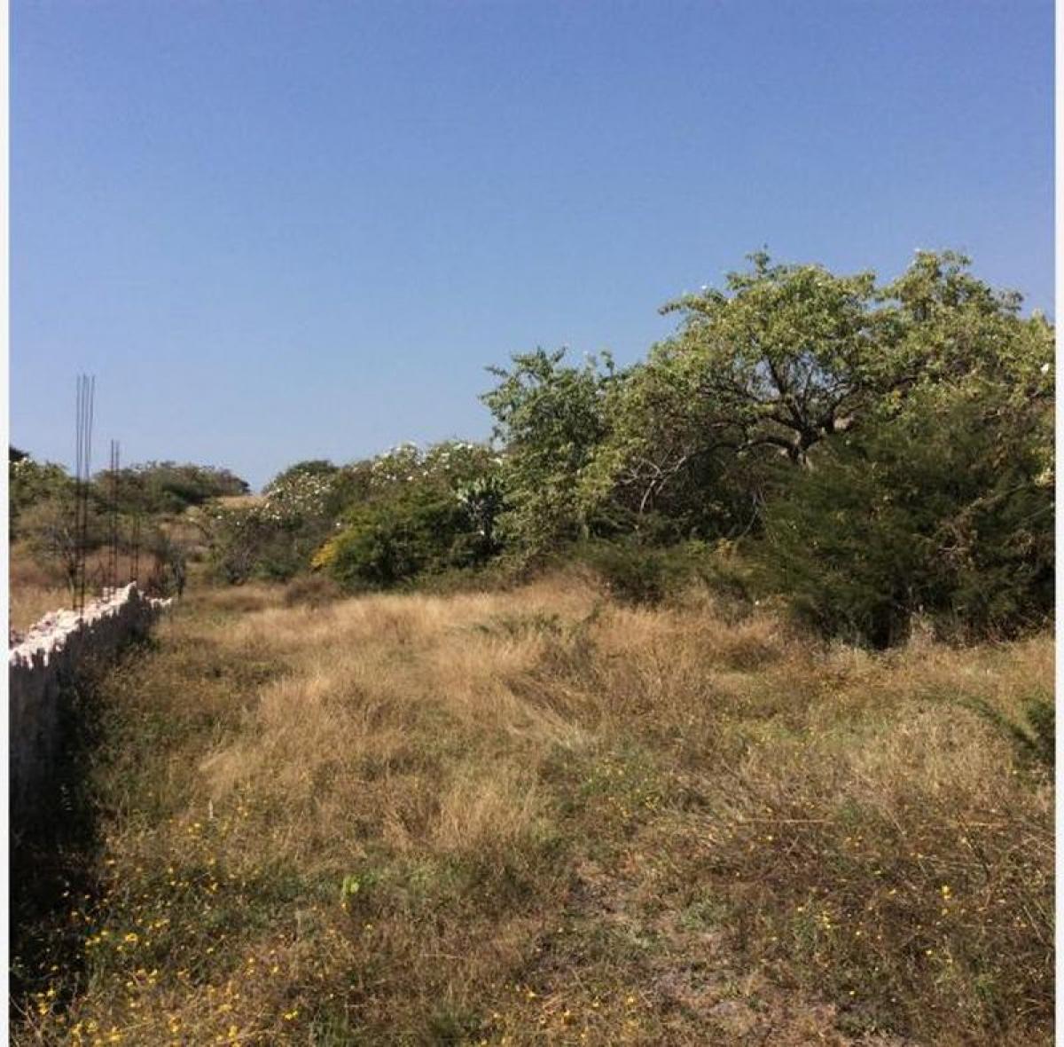 Picture of Residential Land For Sale in Yautepec, Morelos, Mexico
