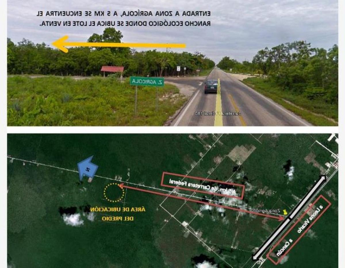 Picture of Residential Land For Sale in Quintana Roo, Quintana Roo, Mexico