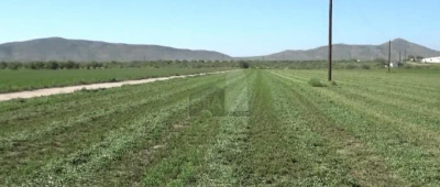 Residential Land For Sale in Camargo, Mexico