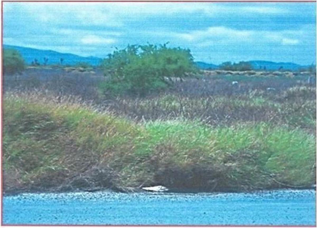 Picture of Residential Land For Sale in Cienega De Flores, Nuevo Leon, Mexico