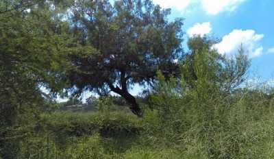 Residential Land For Sale in Cienega De Flores, Mexico