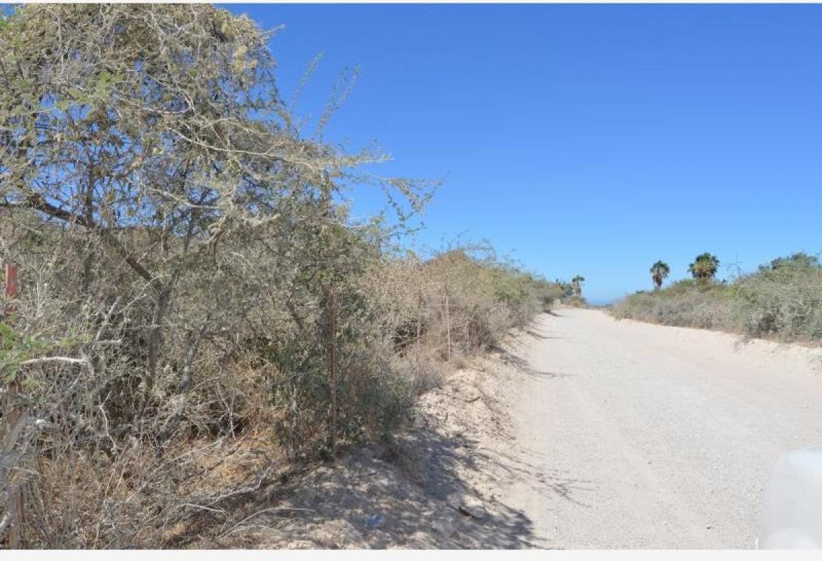 Picture of Residential Land For Sale in Baja California Sur, Baja California Sur, Mexico