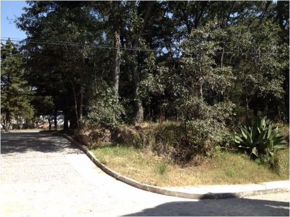 Picture of Residential Land For Sale in Amozoc, Puebla, Mexico