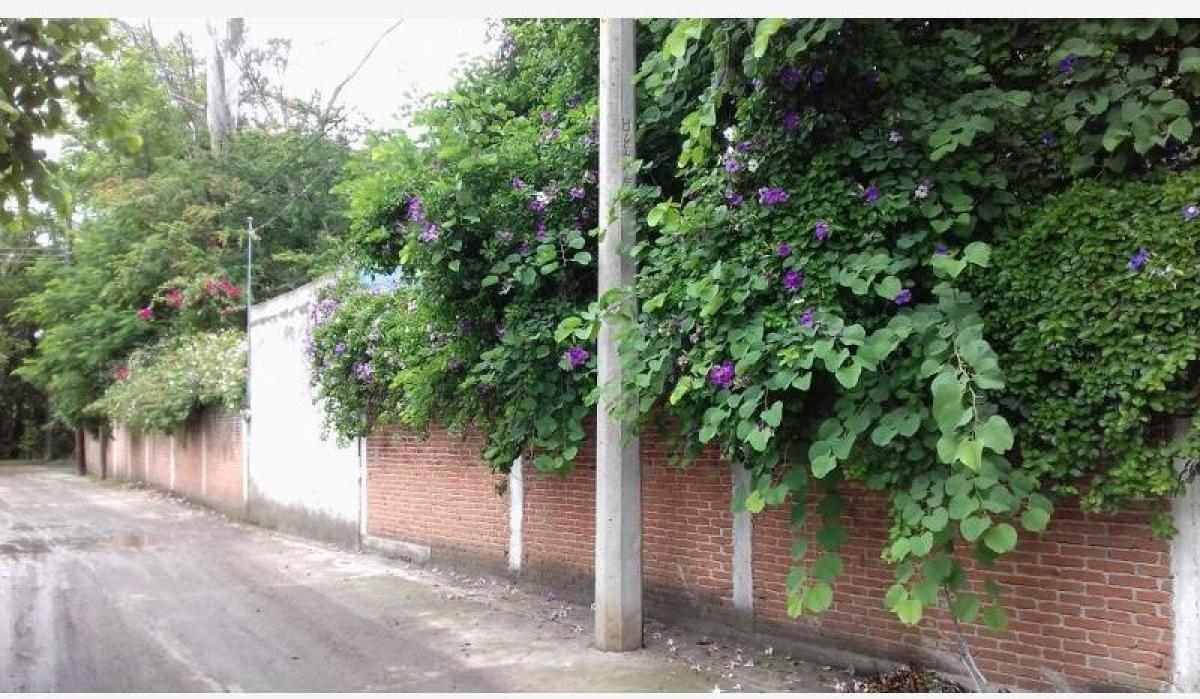 Picture of Residential Land For Sale in Jonacatepec, Morelos, Mexico