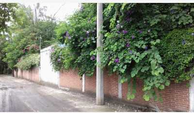 Residential Land For Sale in Jonacatepec, Mexico