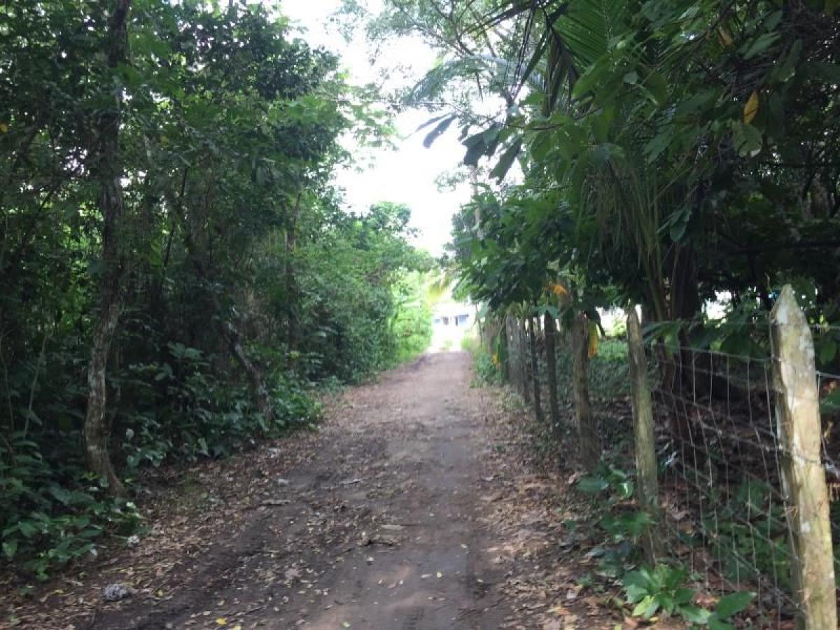 Picture of Residential Land For Sale in Cunduacan, Tabasco, Mexico