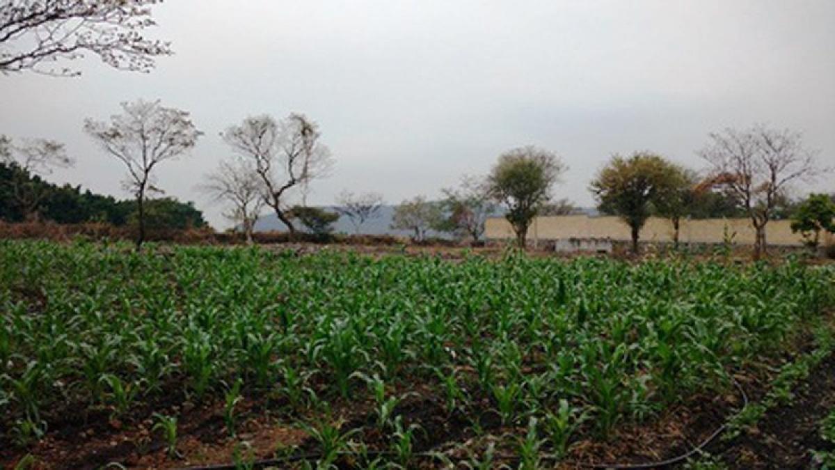 Picture of Residential Land For Sale in Yautepec, Morelos, Mexico