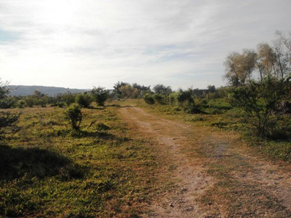 Picture of Residential Land For Sale in Cuautla, Jalisco, Mexico