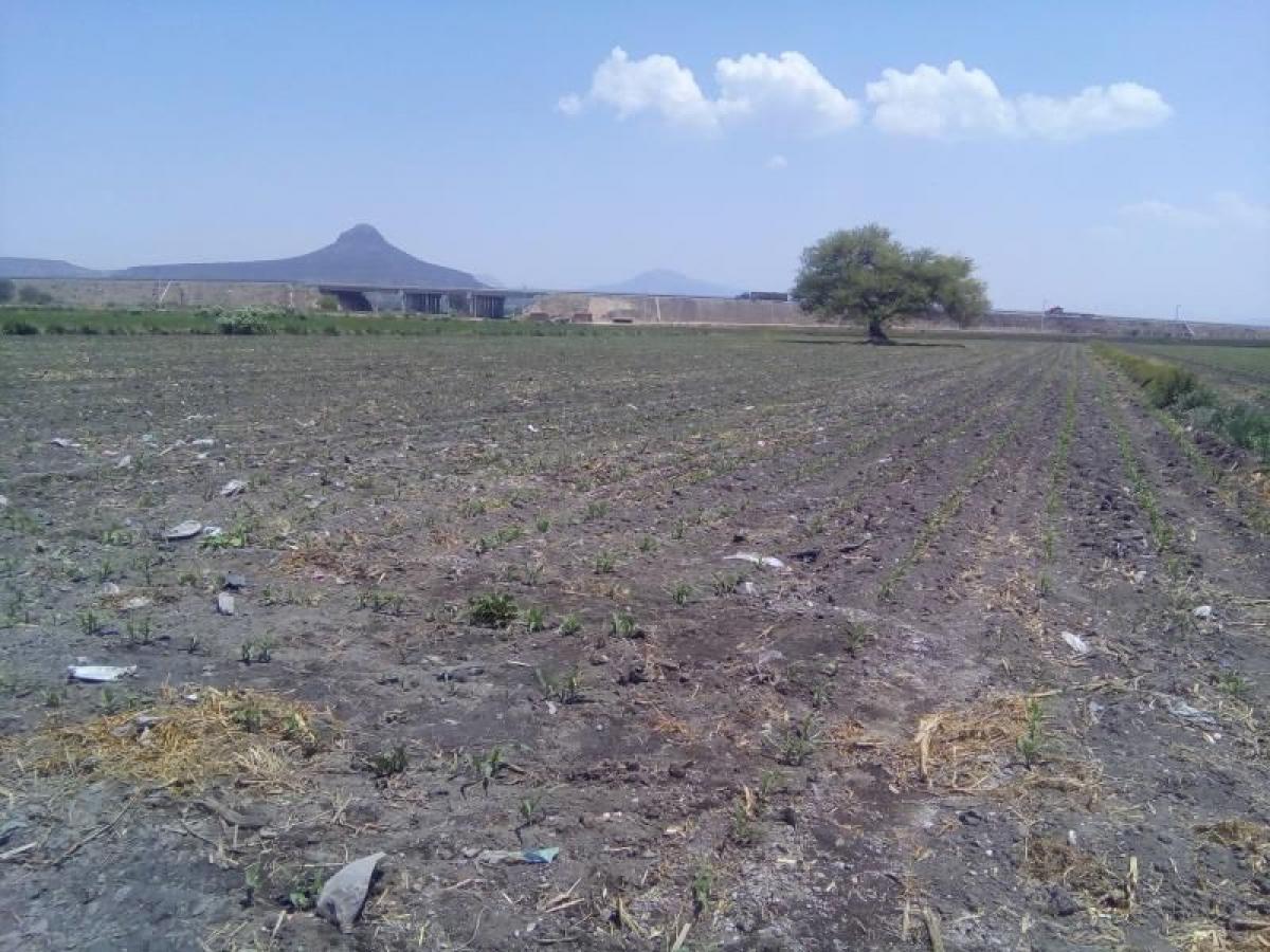 Picture of Residential Land For Sale in Tlaxcoapan, Hidalgo, Mexico