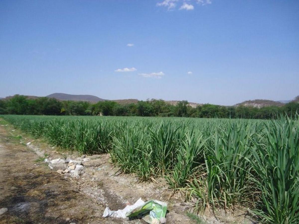 Picture of Development Site For Sale in Morelos, Morelos, Mexico