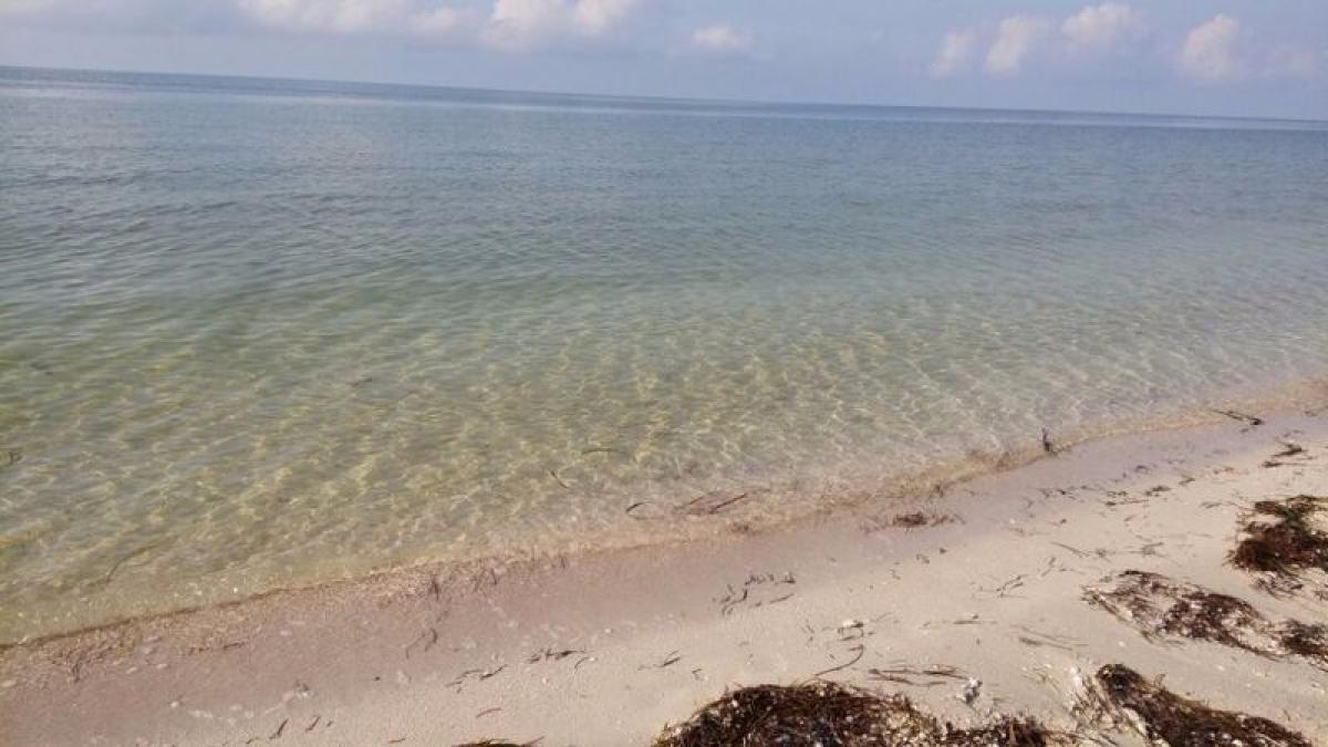 Picture of Residential Land For Sale in Dzemul, Yucatan, Mexico