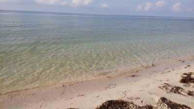 Residential Land For Sale in Dzemul, Mexico