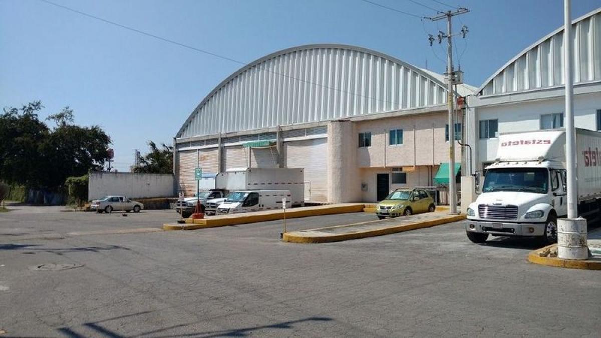 Picture of Penthouse For Sale in Morelos, Morelos, Mexico