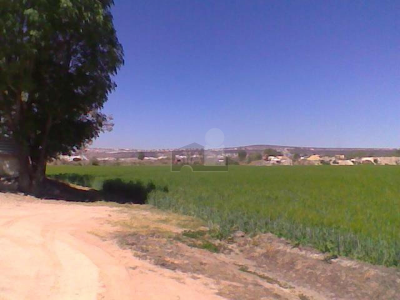 Residential Land For Sale in Leon, Mexico