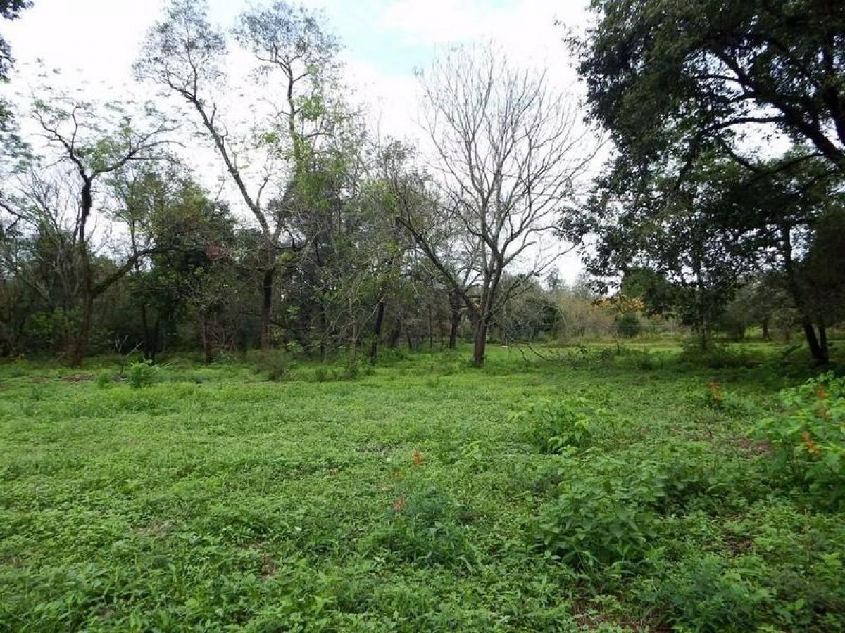 Picture of Residential Land For Sale in Nuevo Leon, Nuevo Leon, Mexico