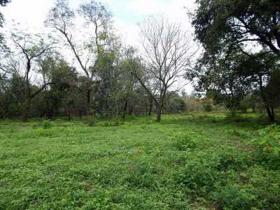 Residential Land For Sale in Nuevo Leon, Mexico