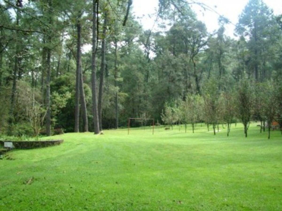 Picture of Residential Land For Sale in Valle De Bravo, Mexico, Mexico