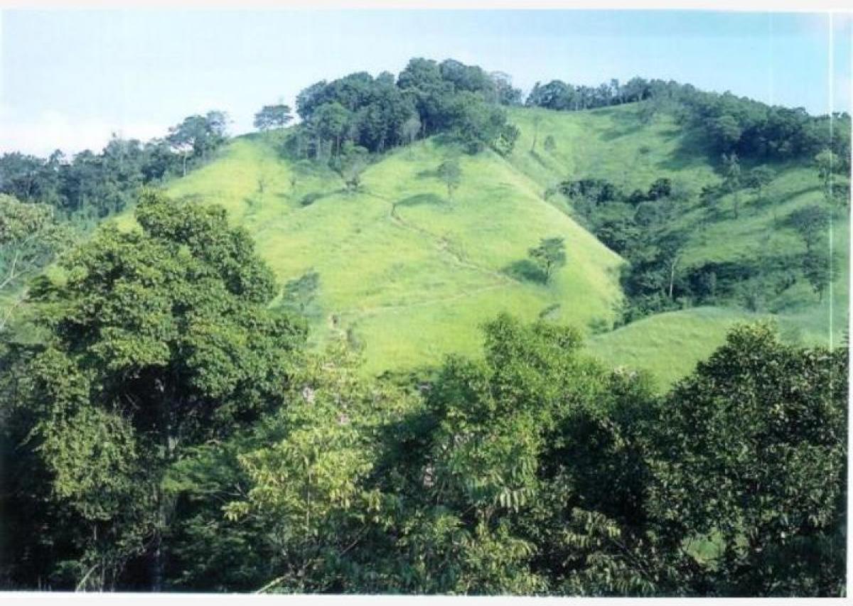 Picture of Residential Land For Sale in San Juan Lalana, Oaxaca, Mexico