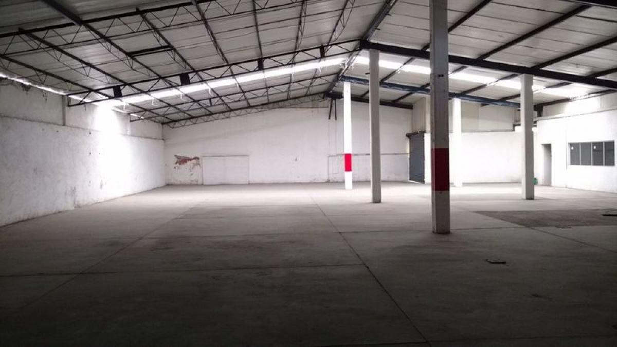 Picture of Penthouse For Sale in Morelos, Morelos, Mexico