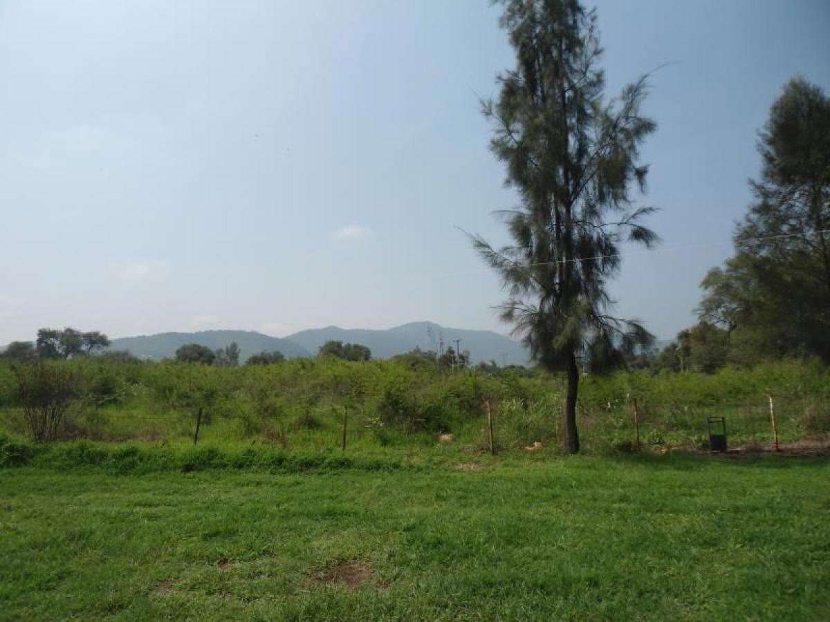 Picture of Residential Land For Sale in Tlajomulco De Zuniga, Jalisco, Mexico