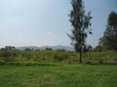 Residential Land For Sale in Tlajomulco De Zuniga, Mexico
