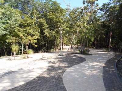 Residential Land For Sale in Quintana Roo, Mexico