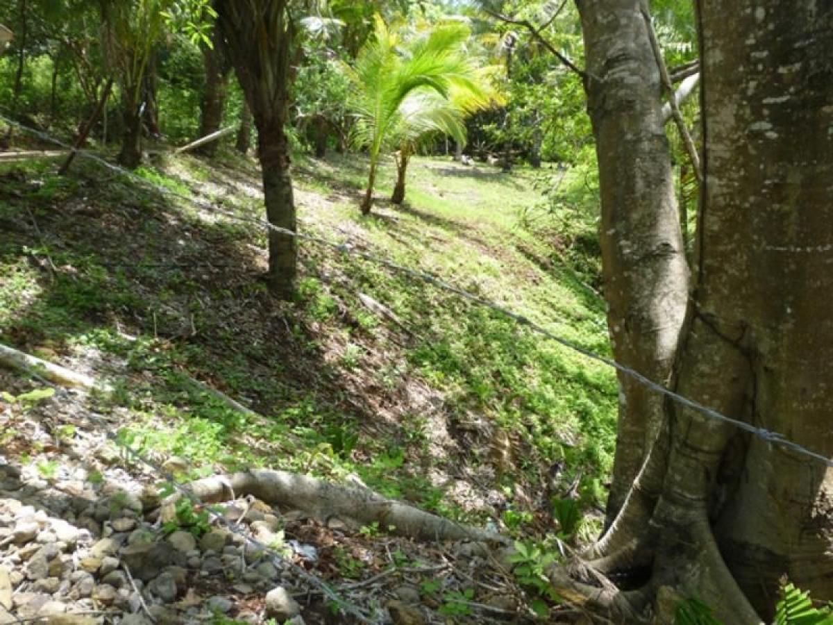 Picture of Residential Land For Sale in Bahia De Banderas, Nayarit, Mexico