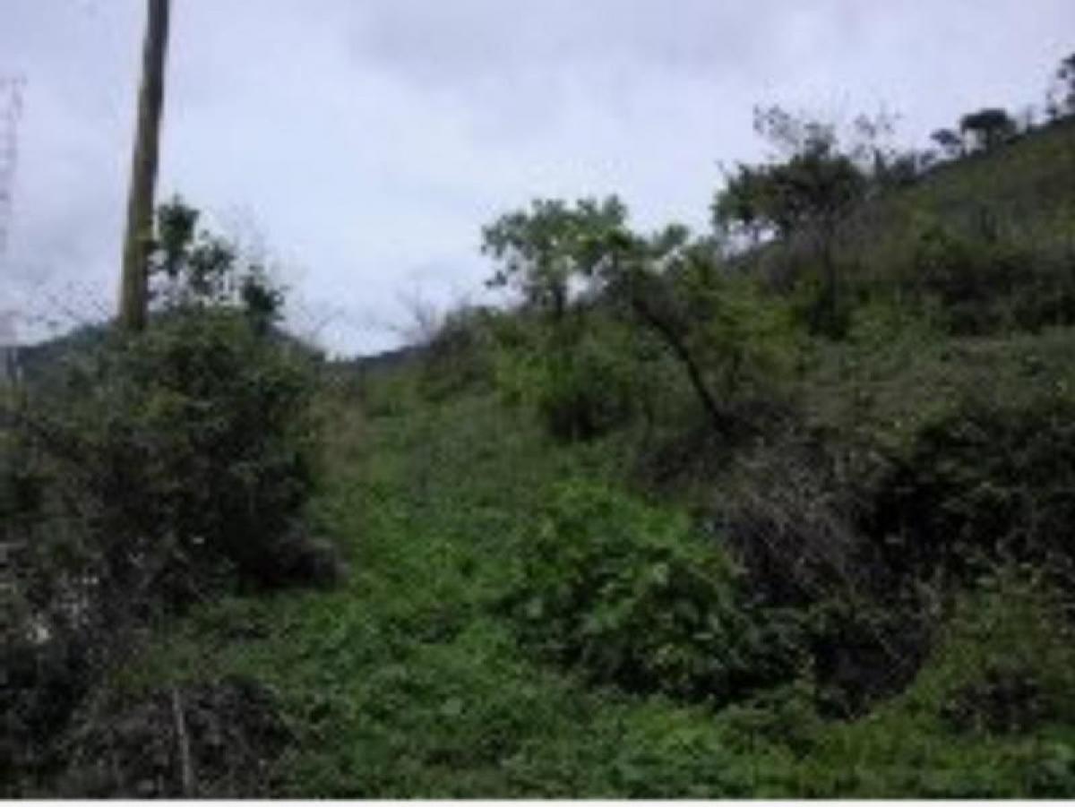 Picture of Residential Land For Sale in Tlajomulco De Zuniga, Jalisco, Mexico