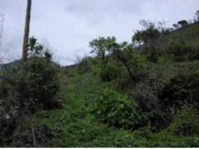 Residential Land For Sale in Tlajomulco De Zuniga, Mexico
