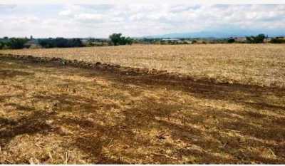 Residential Land For Sale in 