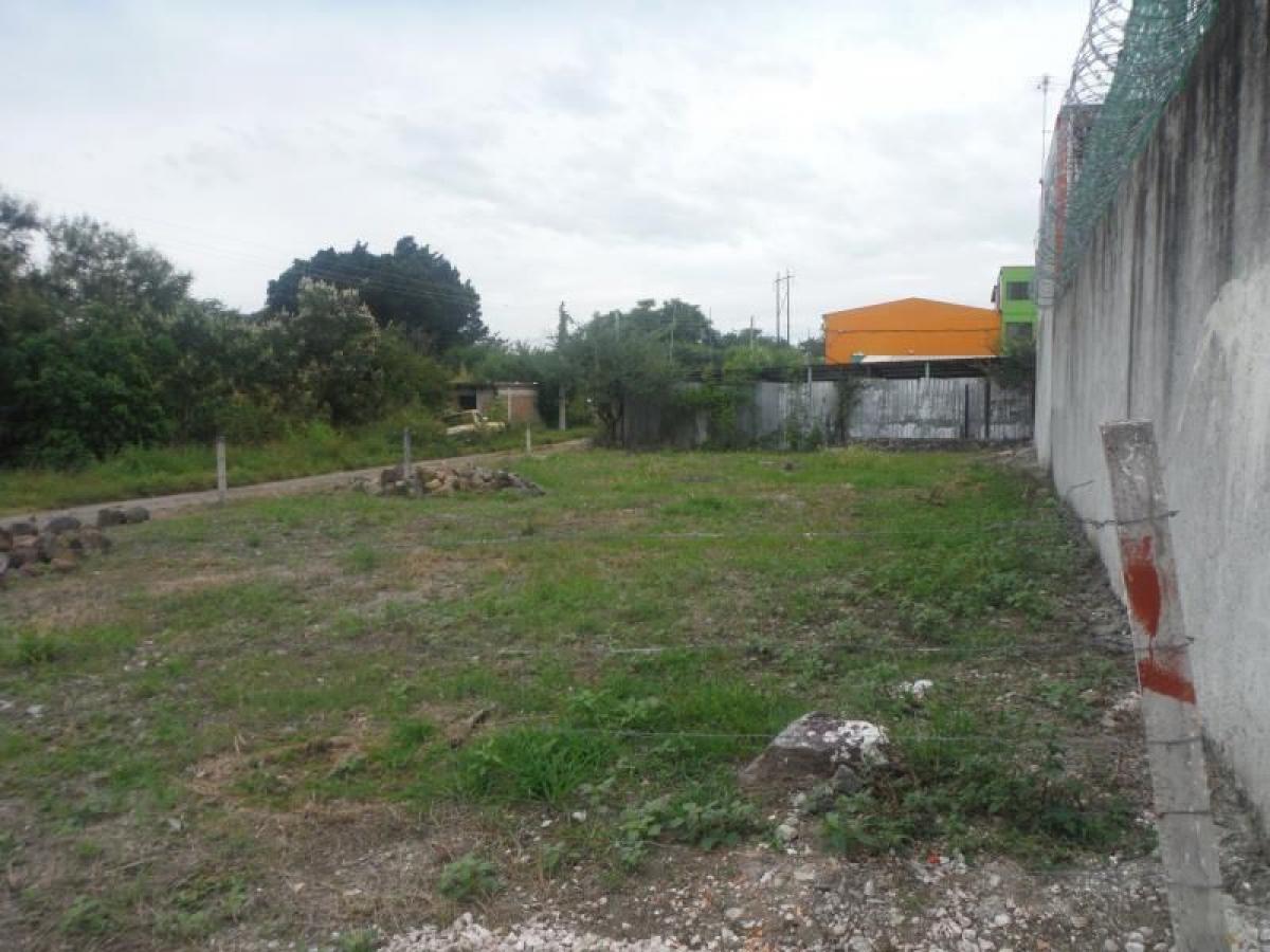 Picture of Residential Land For Sale in Yautepec, Morelos, Mexico