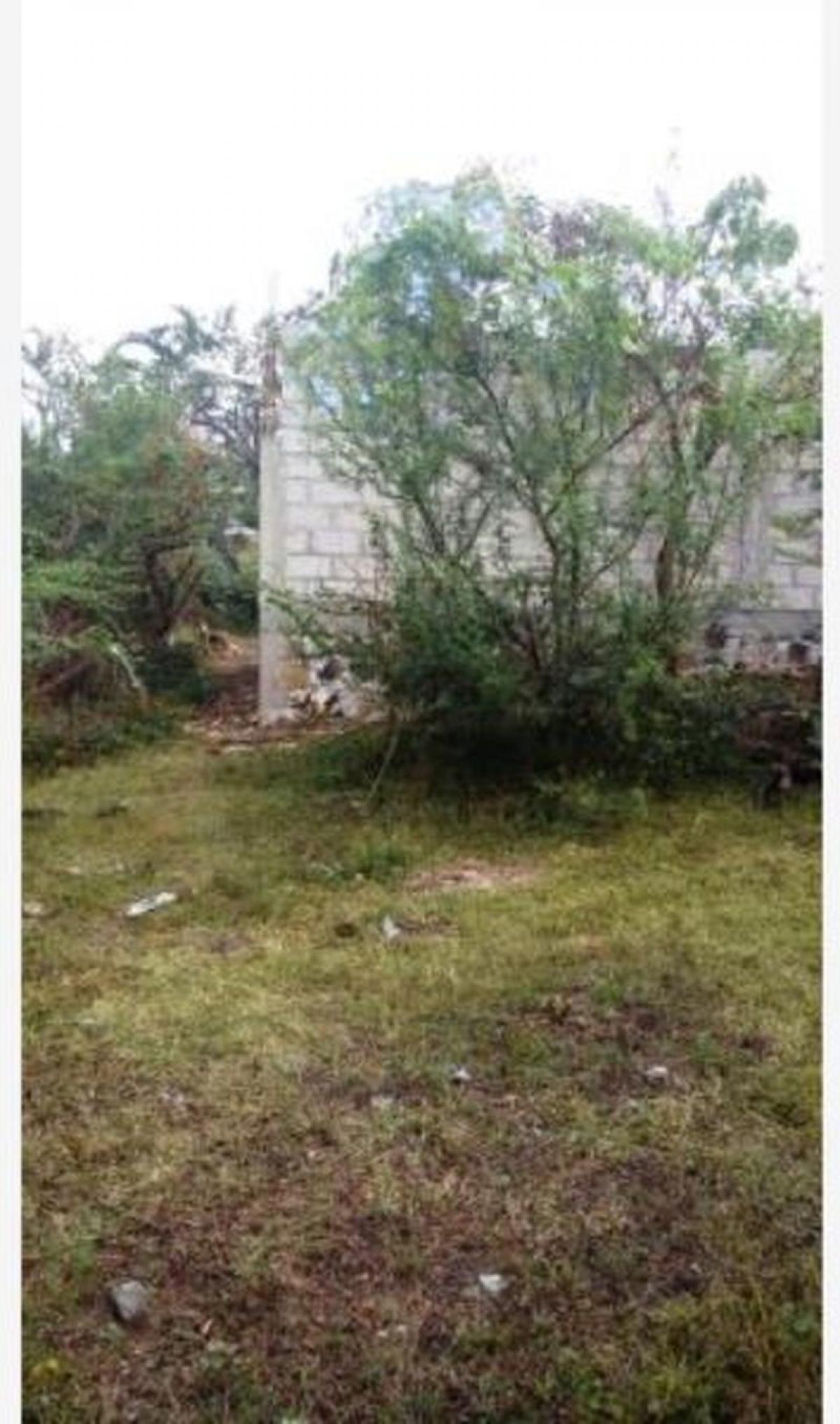 Picture of Residential Land For Sale in Ayala, Morelos, Mexico