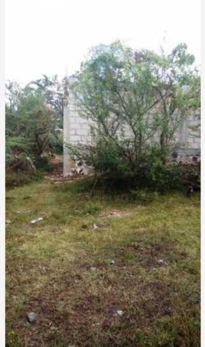 Residential Land For Sale in Ayala, Mexico