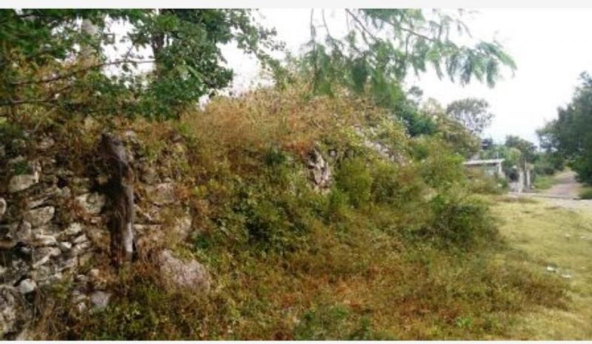Picture of Residential Land For Sale in Ayala, Morelos, Mexico