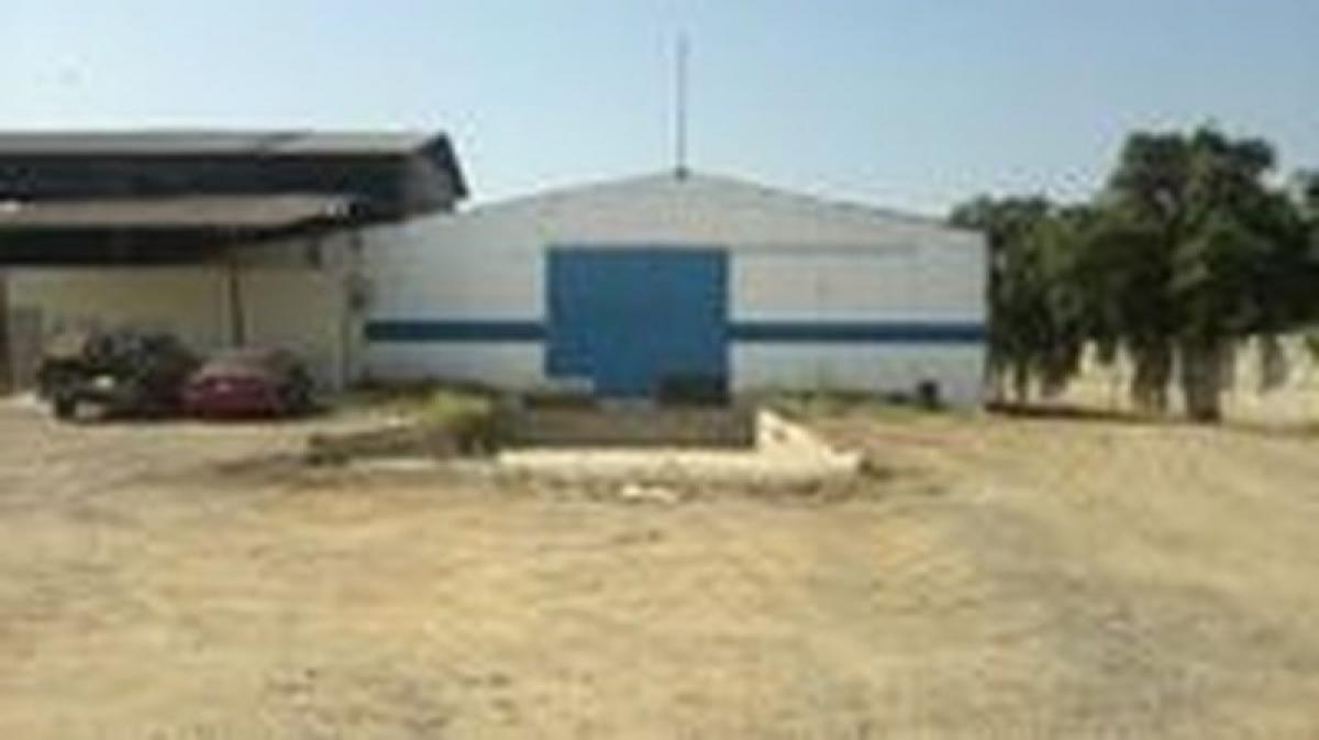 Picture of Penthouse For Sale in Sinaloa, Sinaloa, Mexico