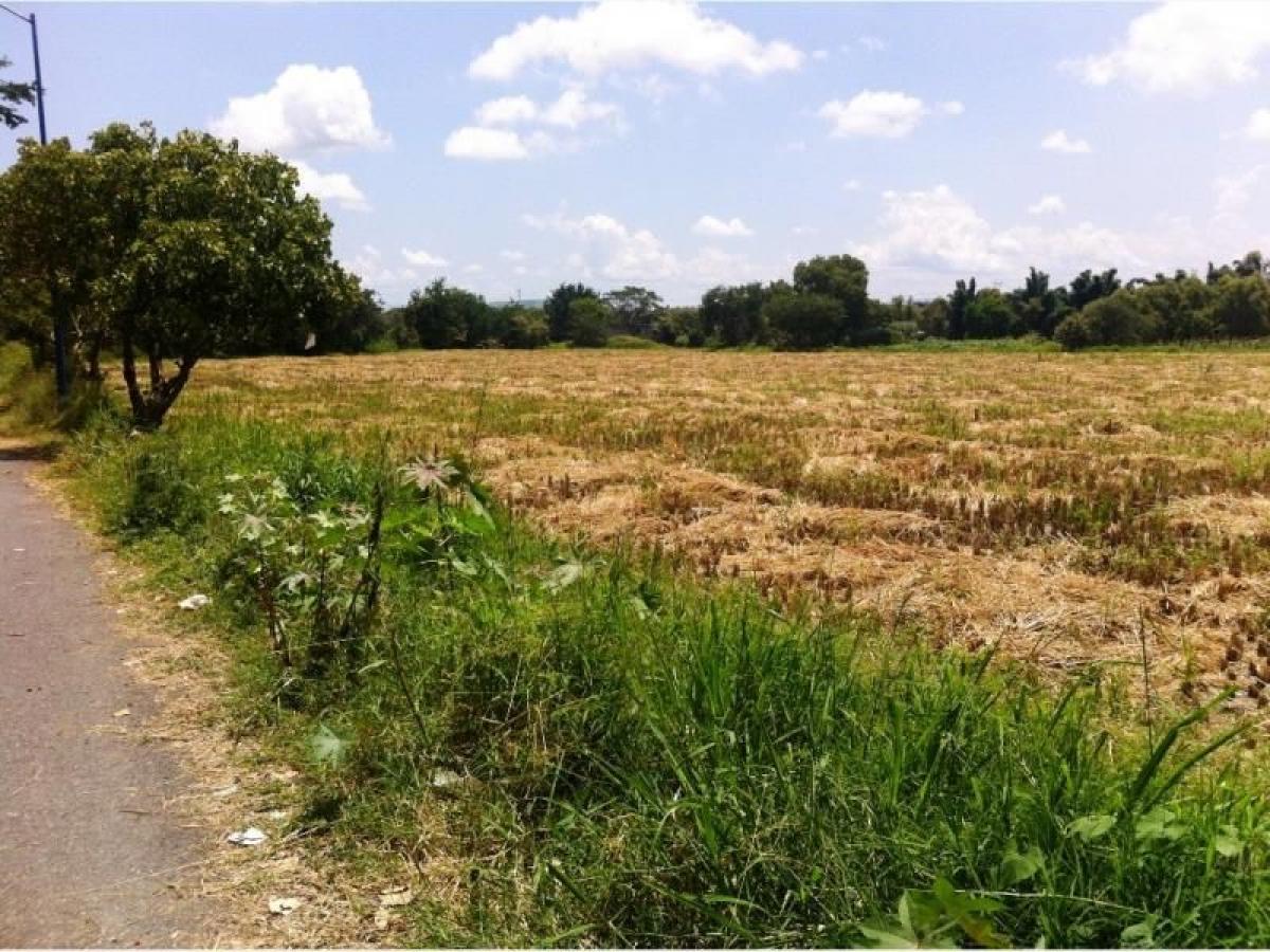Picture of Residential Land For Sale in Temixco, Morelos, Mexico