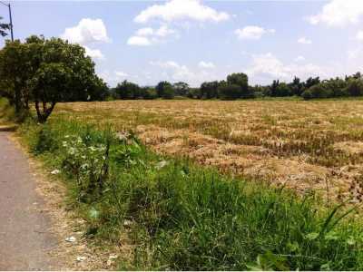 Residential Land For Sale in Temixco, Mexico