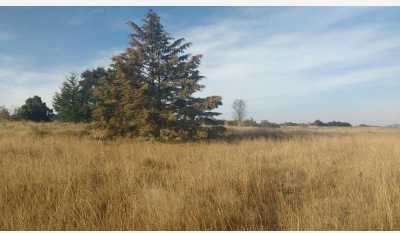 Residential Land For Sale in Amealco De Bonfil, Mexico