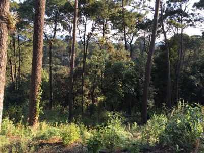Residential Land For Sale in Valle De Bravo, Mexico
