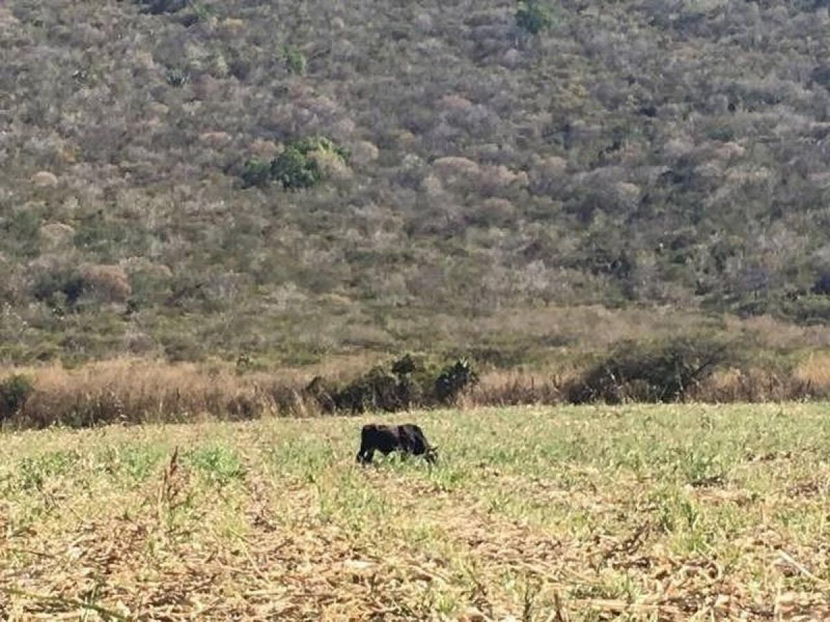 Picture of Residential Land For Sale in Jiquipilas, Chiapas, Mexico