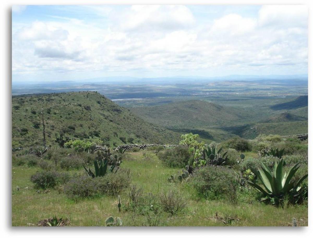 Picture of Development Site For Sale in Guanajuato, Guanajuato, Mexico
