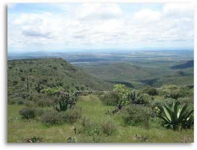 Development Site For Sale in Guanajuato, Mexico