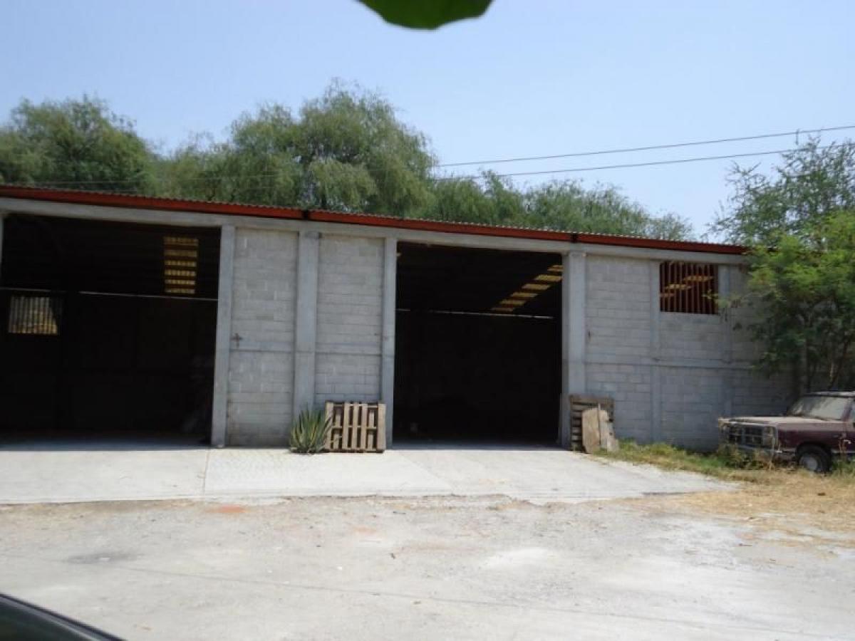 Picture of Home For Sale in Jojutla, Morelos, Mexico