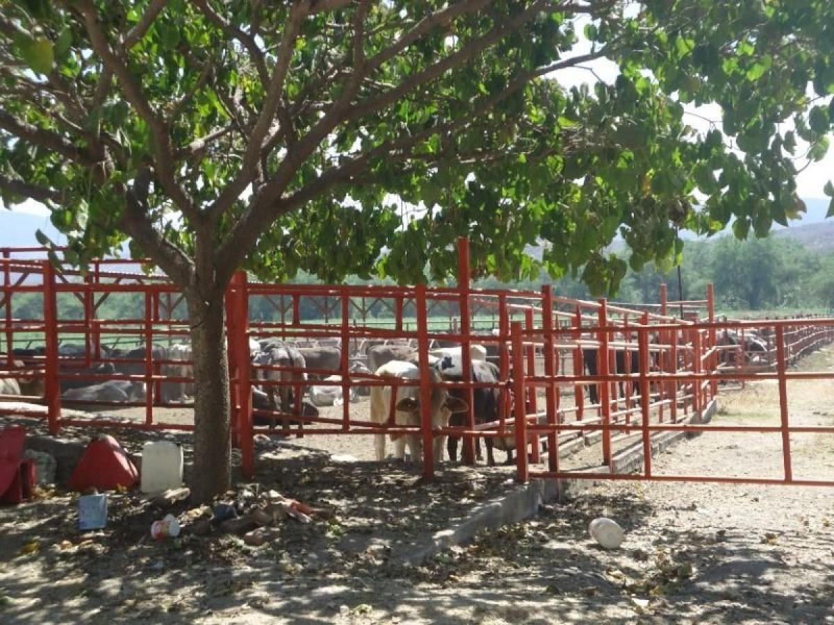 Picture of Residential Land For Sale in Jojutla, Morelos, Mexico