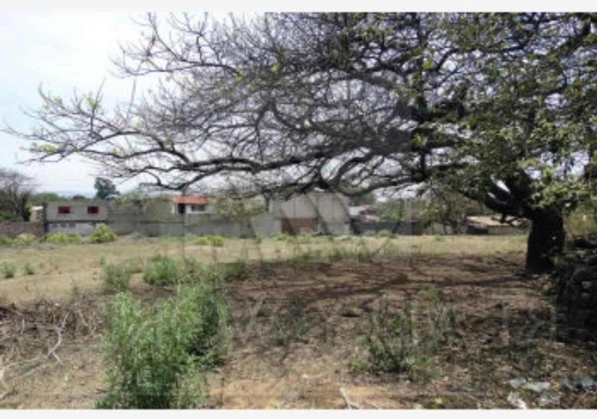 Picture of Residential Land For Sale in Malinalco, Mexico, Mexico