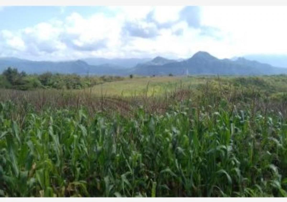 Picture of Home For Sale in Ixtapan De La Sal, Mexico, Mexico